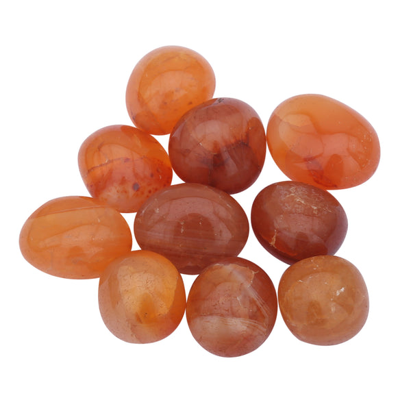 Carnelian Tumbled 10 Piece - Healing Crystals India