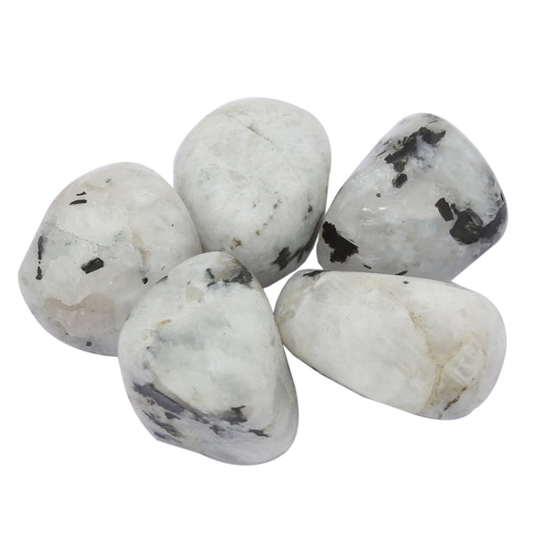 Rainbow Moonstone Tumbled 5 Piece - Healing Crystals India