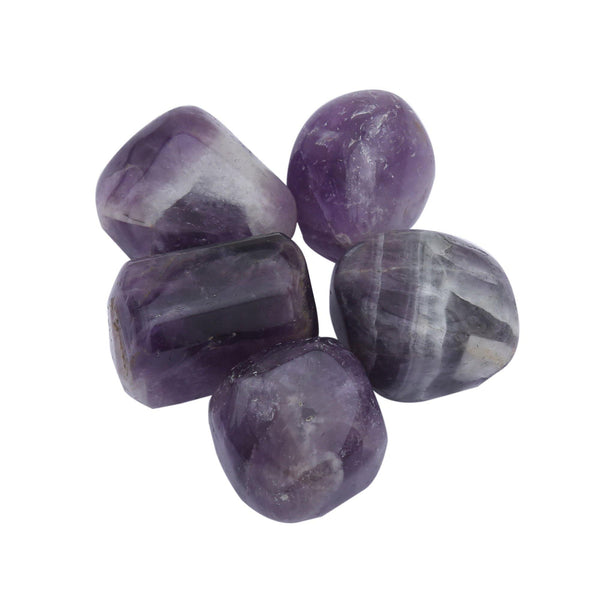 Amethyst 5 Piece Tumbled - Healing Crystals India